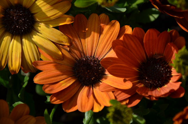 MicrosoftTeams-image (13).png